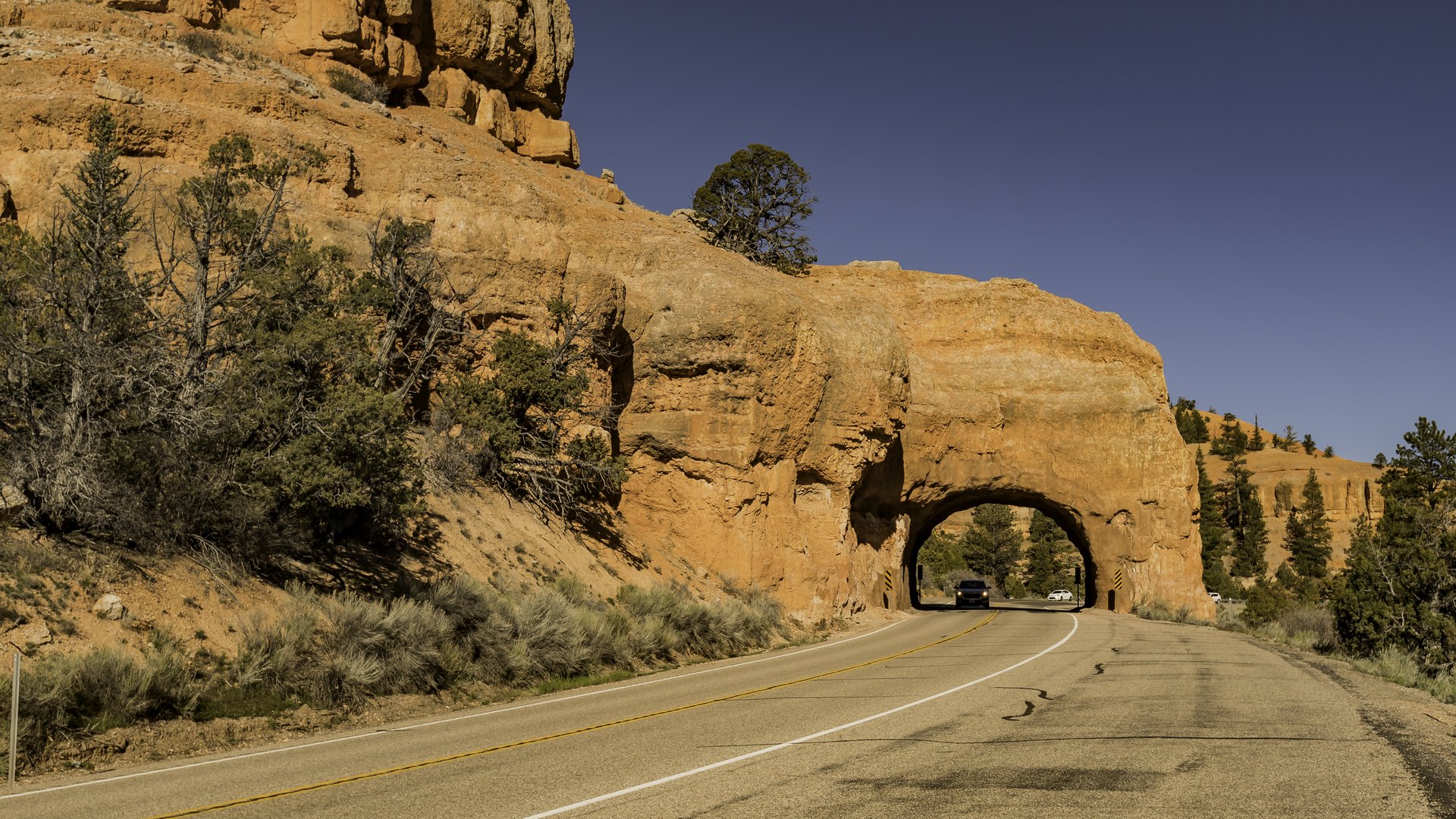 The scenic drives earn their fame