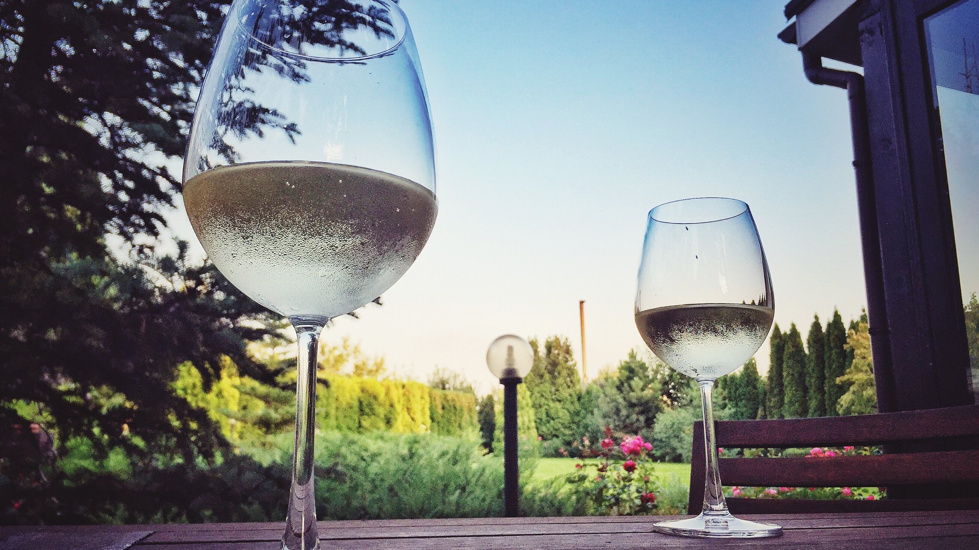 Patio afternoons on the Verde Valley Wine Trail