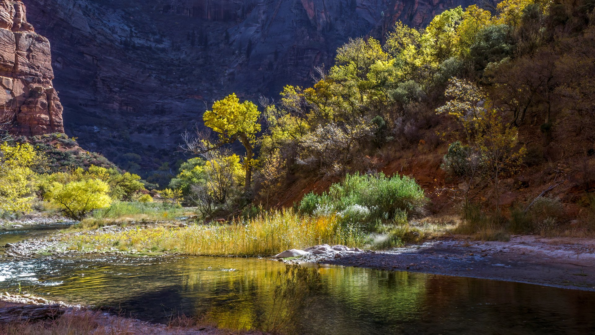 The Verde River through Cottonwood