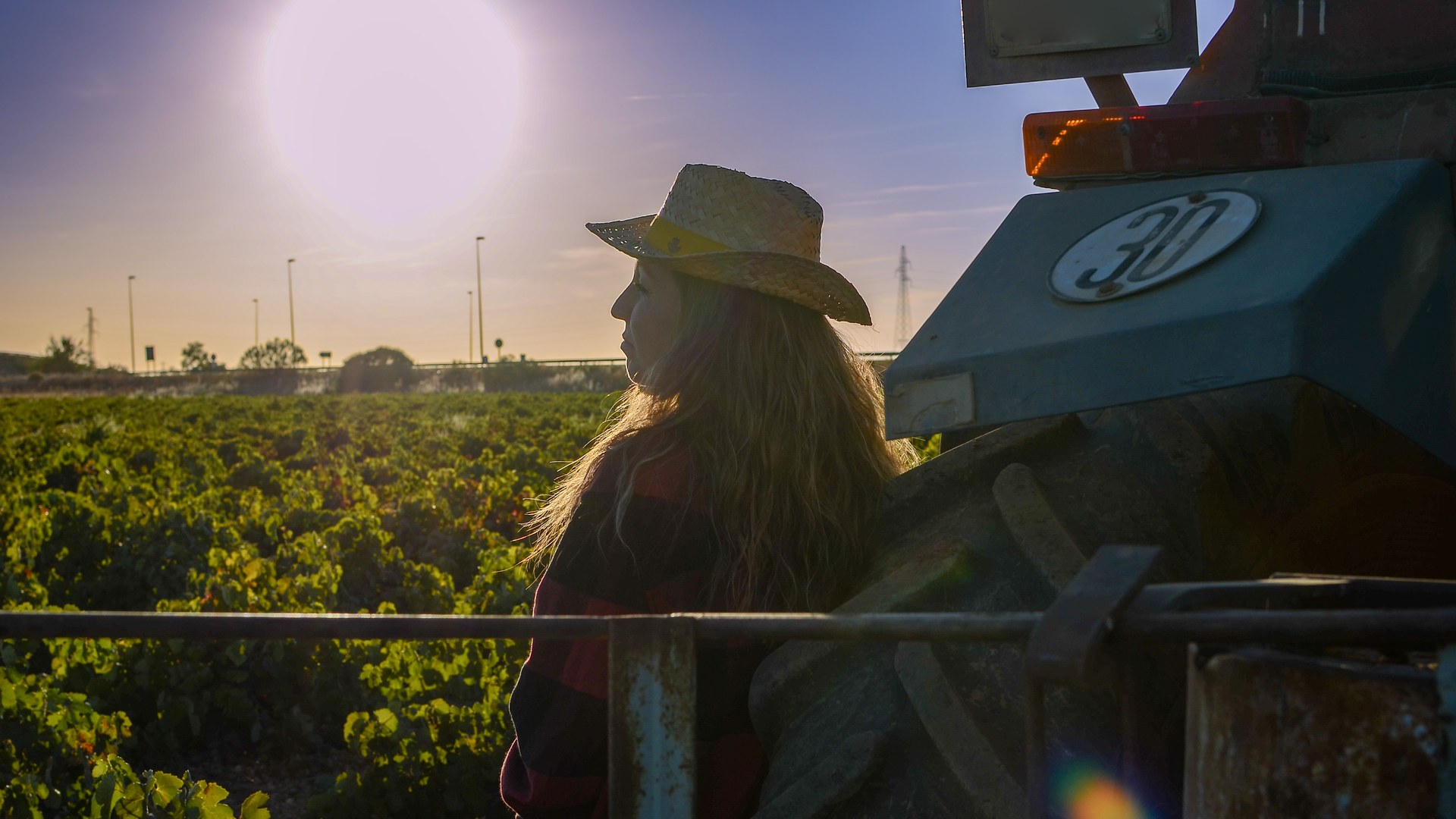 Where to Stay Near the Verde Valley Wine Trail